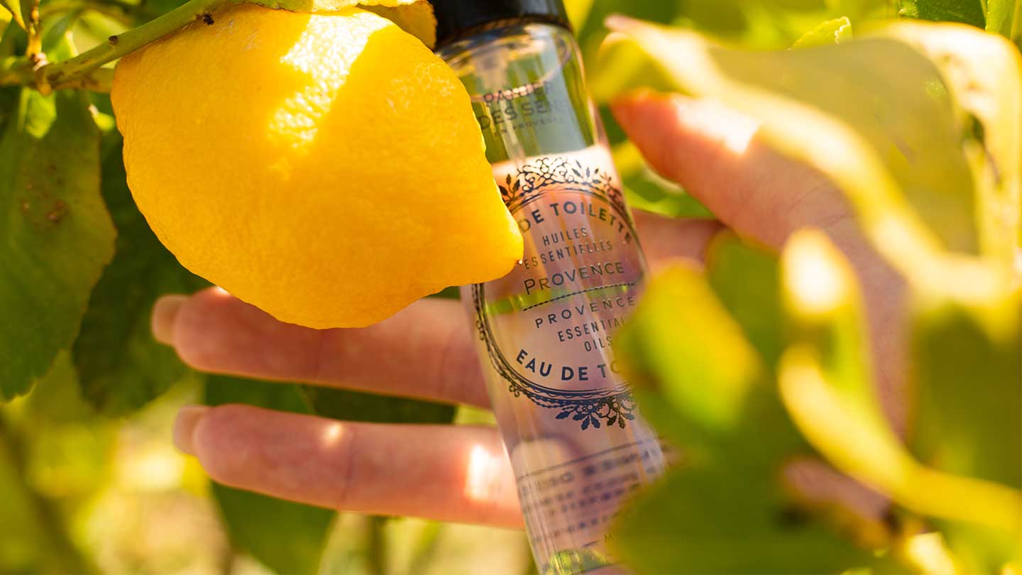 Soins du corps Provence - Panier des Sens