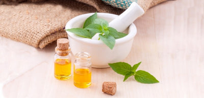 Besoin de fraîcheur ? Gros plan sur la verveine !