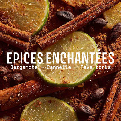 Savon Épices Enchantées 200g - Édition limitée de Noël