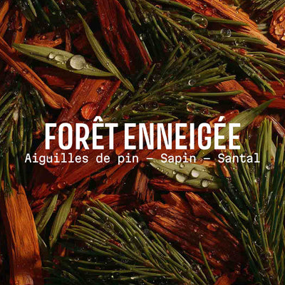 Savon Forêt Enneigée 200g - Édition limitée de Noël