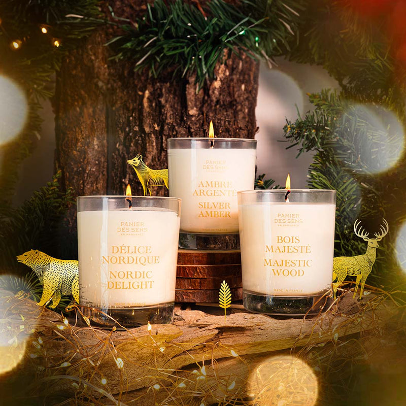 Bougie parfumée de Noël - Ambre Argenté 180g